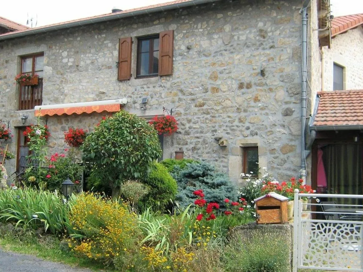 Gite En Pierre Avec Terrasses, Proche De Sites Medievaux, Ideal Pour Famille Avec Equipements Bebe. - Fr-1-582-256 Boisset  0*, Boisset (Haute-Loire) France